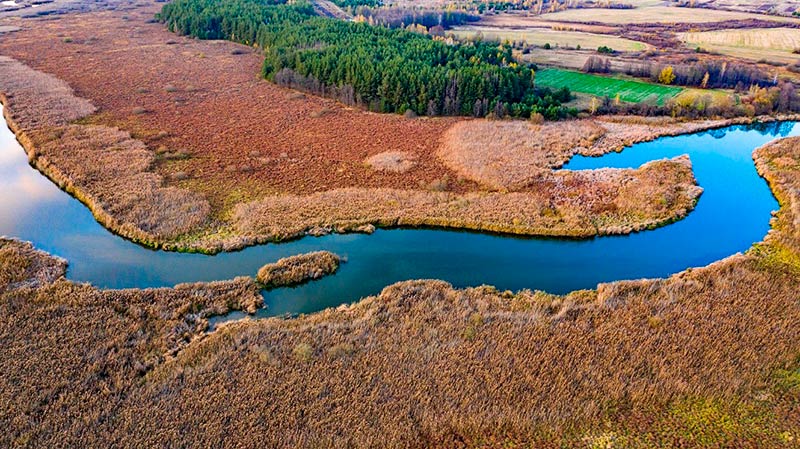 Споровский заказник