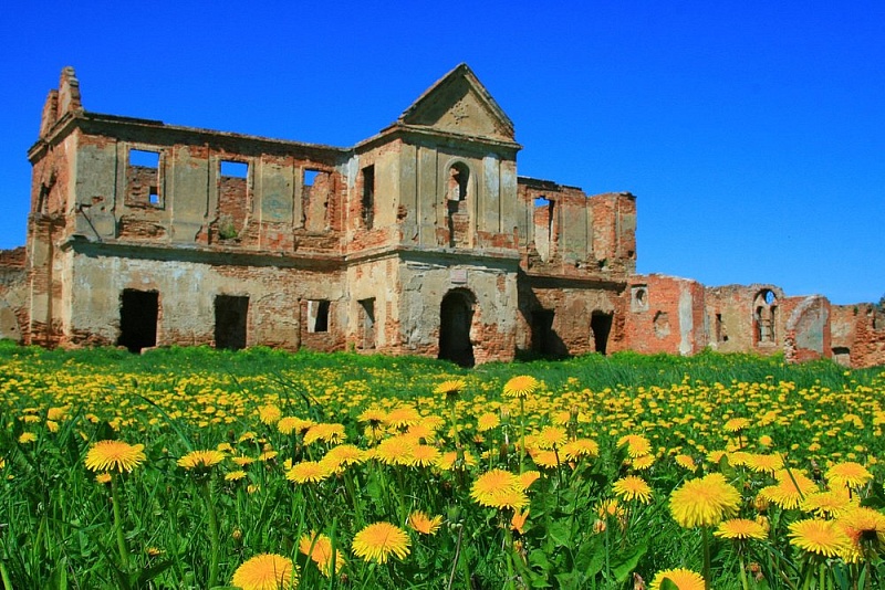 Руины Монастыря Картезианцев