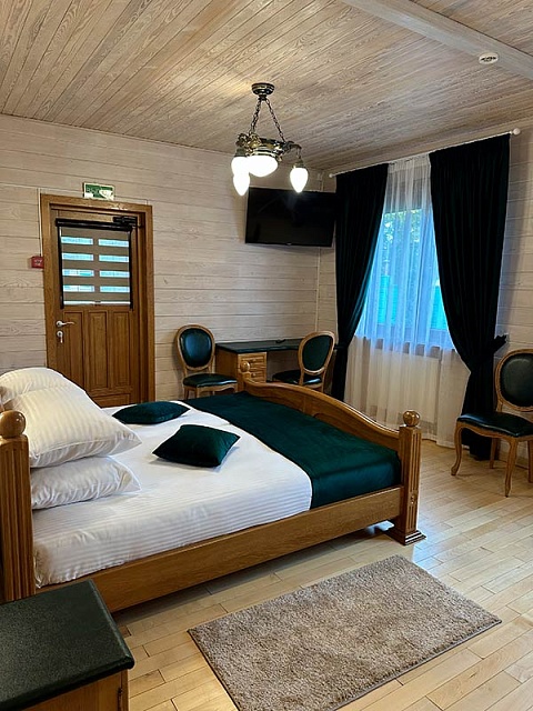 Номер Делюкс с террасой